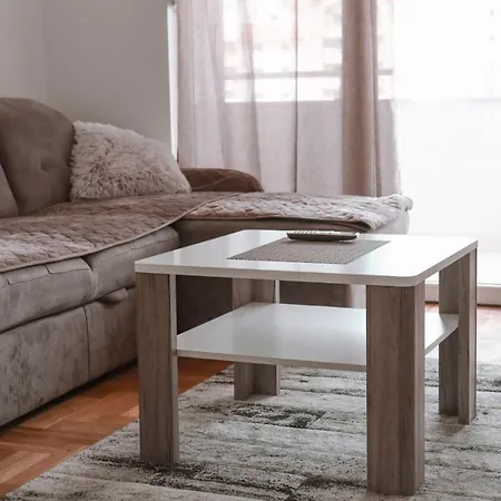 公寓 Antunovic 特雷比涅