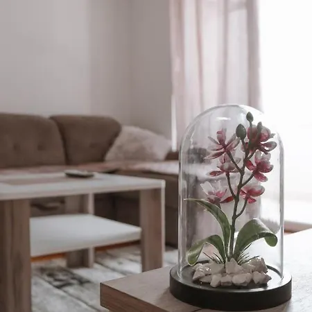 Antunovic 特雷比涅