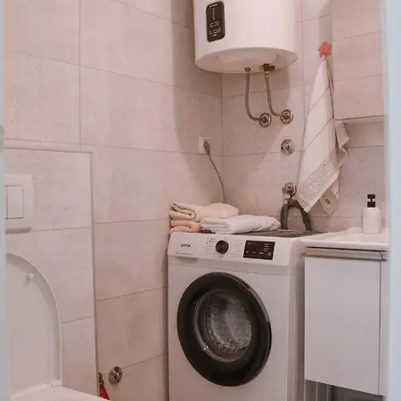 Apartment Antunovic *